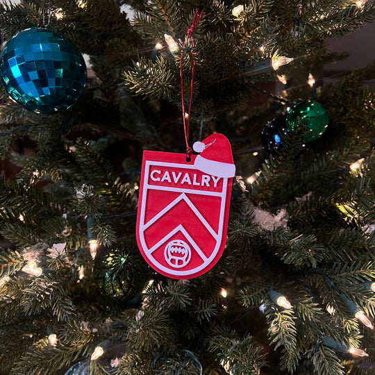 Christmas Ornament
